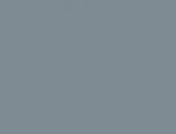 Squirrel Grey